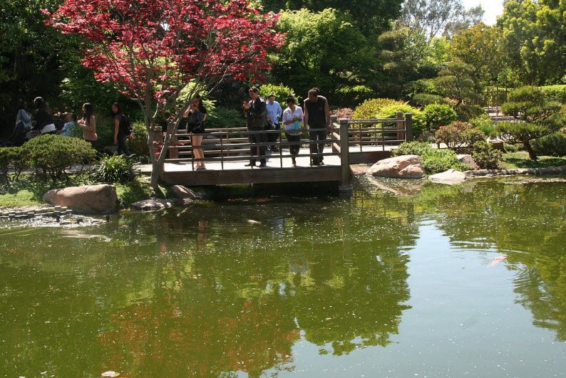 Earl Burns Miller Japanese Garden, United States